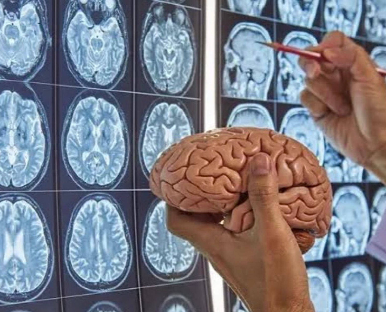 مترجمة طبية في شيراز تنسيق العلاج في شيراز حجز موعد طبي في شيراز