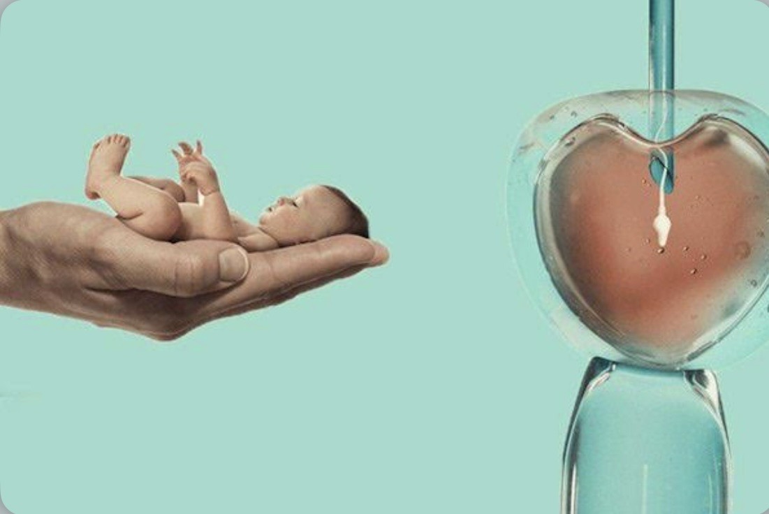 مترجمة طبية في شيراز تنسيق العلاج في شيراز حجز موعد طبي في شيراز