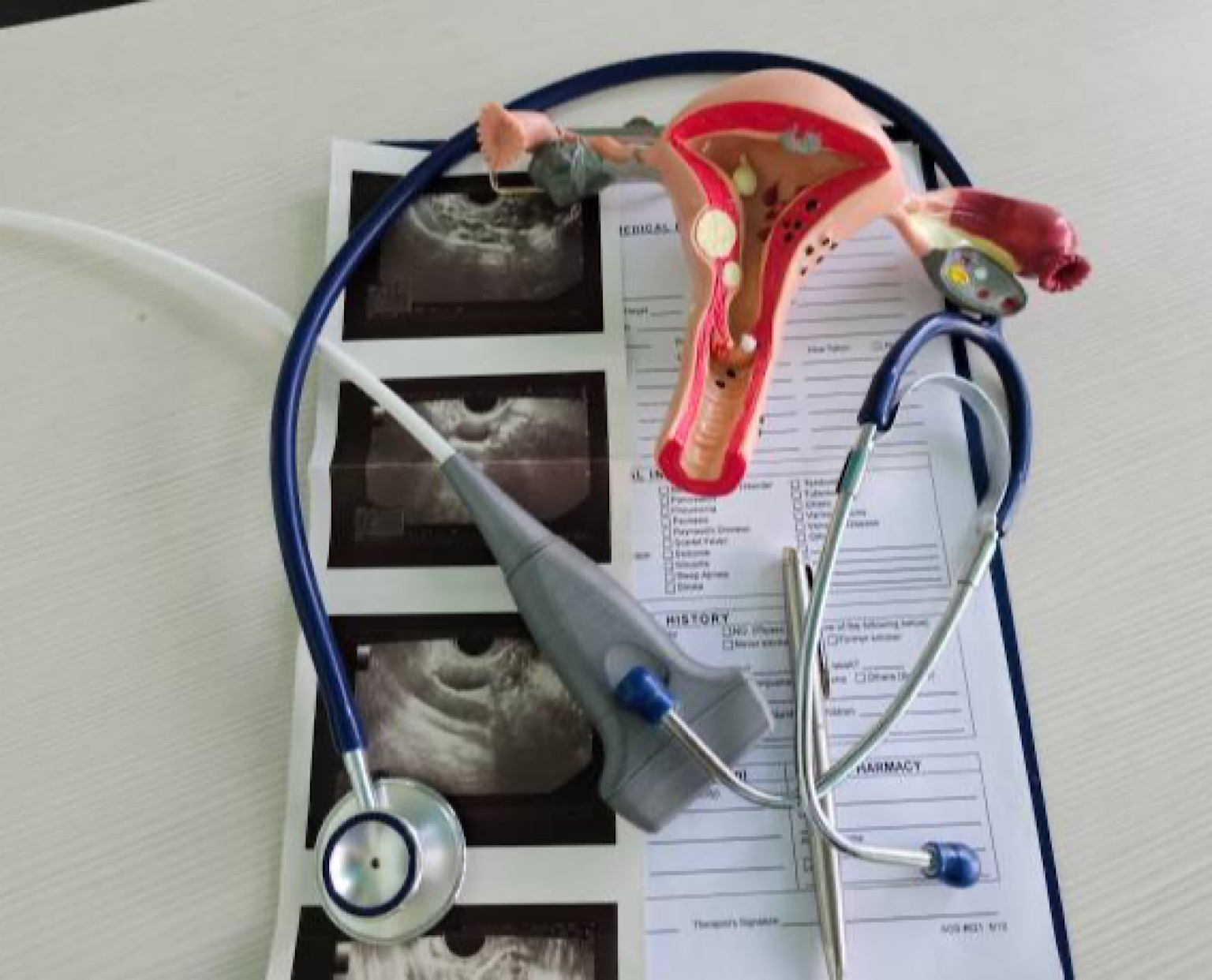 مترجمة طبية في شيراز تنسيق العلاج في شيراز حجز موعد طبي في شيراز